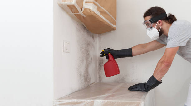 Professional Mold Removal technician working in Warren, OR